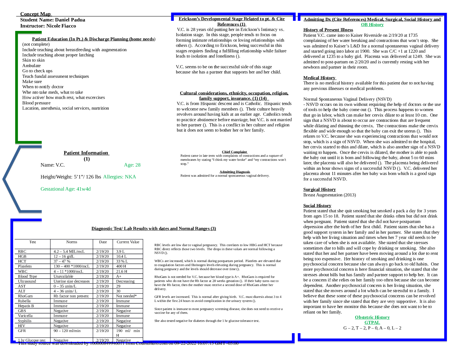 Preview image for NURS 306 OB Concept Map DRAFT