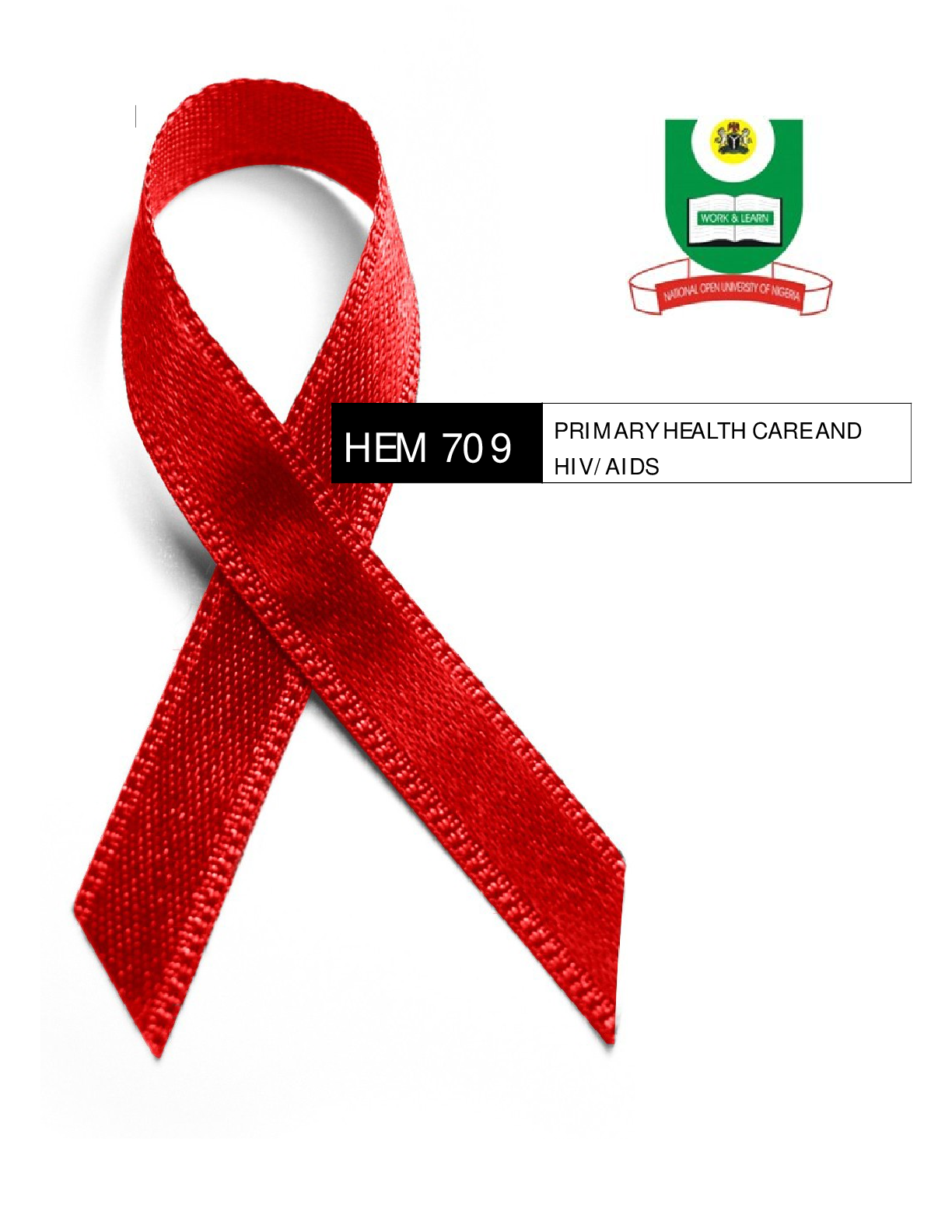 Preview image for PRIMARY HEALTH CARE AND  HIV/AIDS