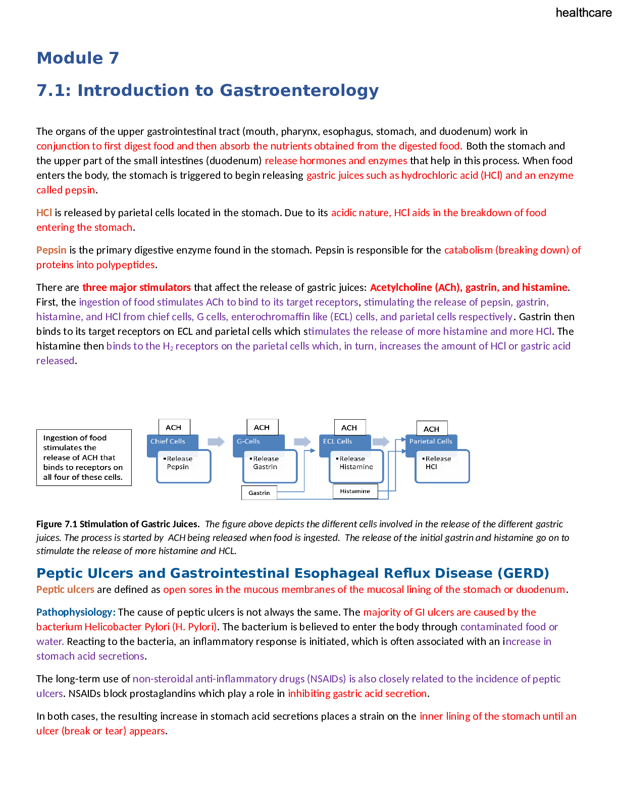 Preview image for Summary Portage Learning NURS 251 Module 7 Introduction to Gastroenterology