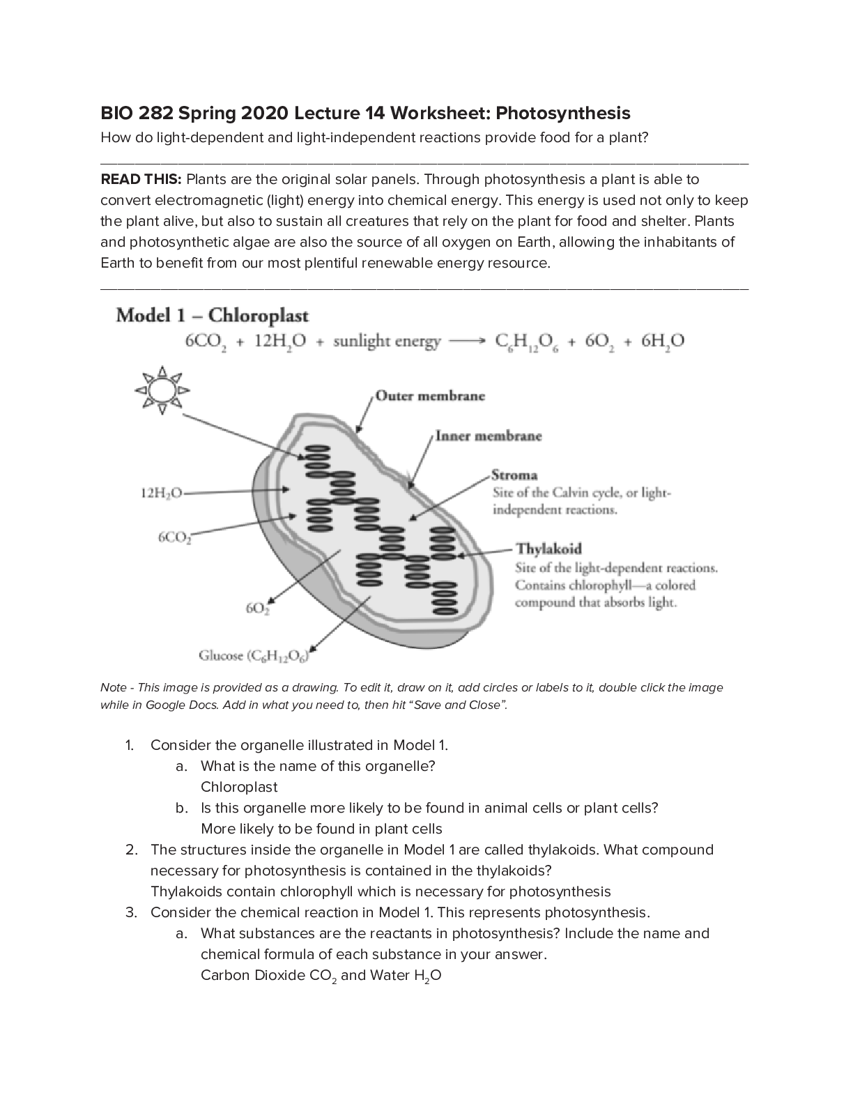 Preview image for Photosynthesis Worksheet Arizona State University BIO 282