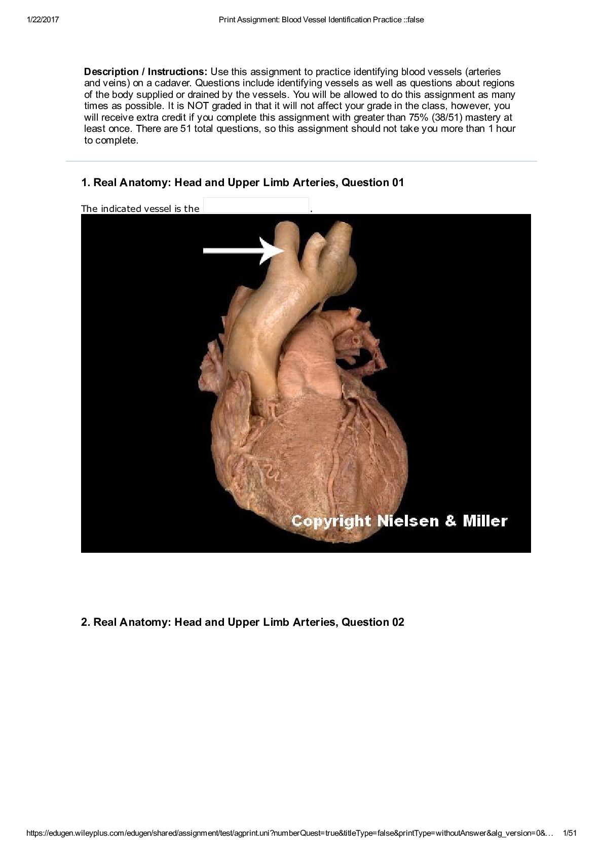 Preview image for Assignment: Blood Vessel Identification ON A CADAVER Practice WITH ANSWERS