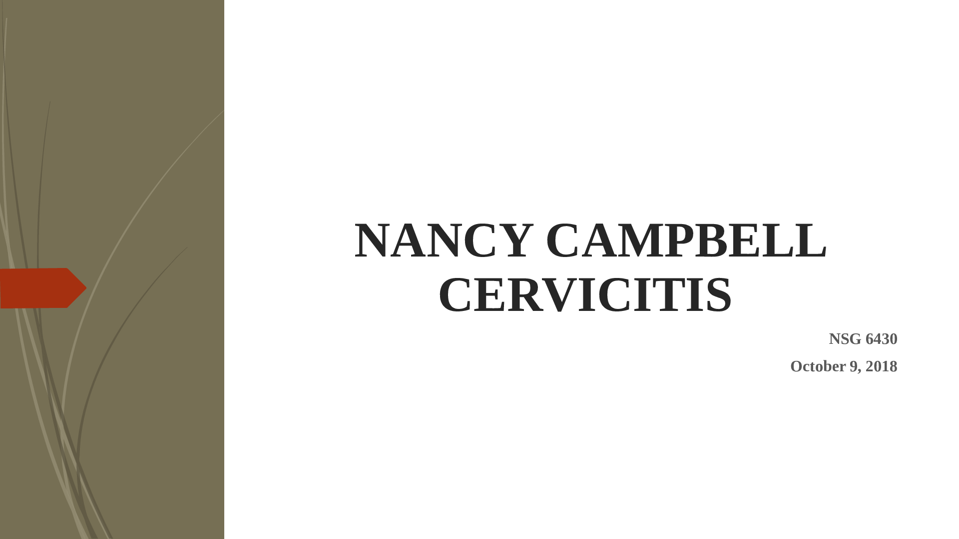 Preview image for NR 602 Week 2 iHuman Case 2 on STI Assignment – Nancy Cambell