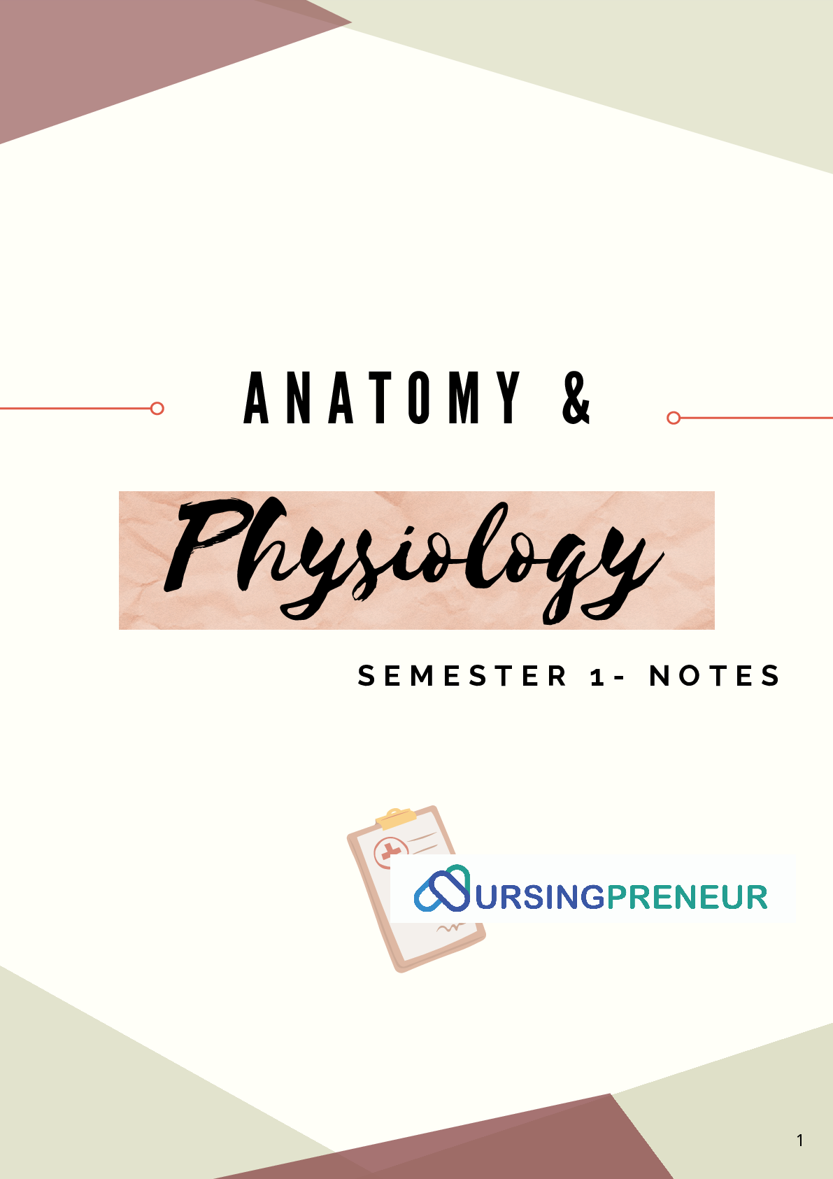 Preview image for A N A T O M Y & Physiology