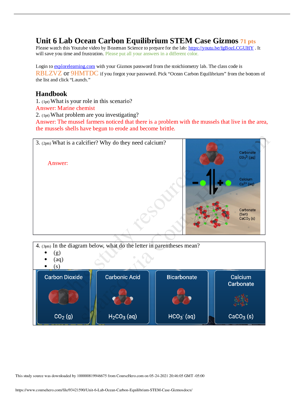 Preview of Lab Ocean Carbon Equilibrium STEM Case Gizmos