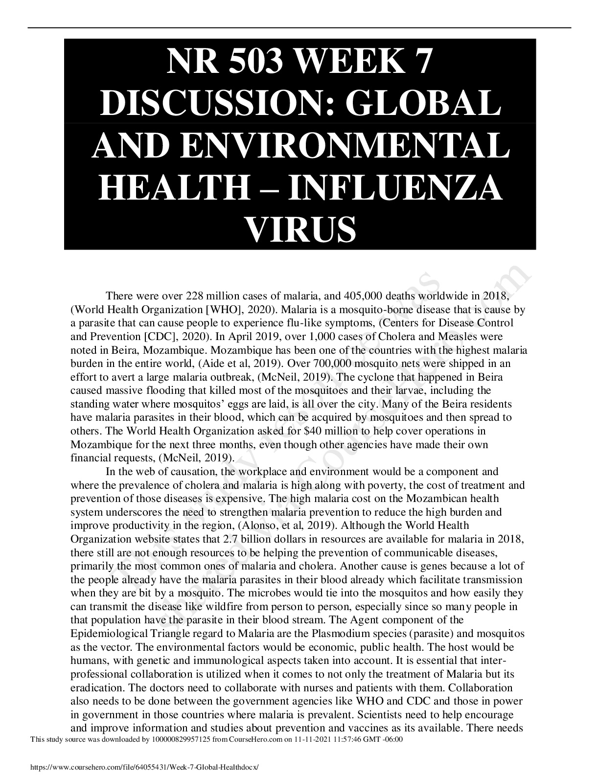 Preview image for NR 503 Week 7 Discussion: Global and Environmental Health – Influenza Virus