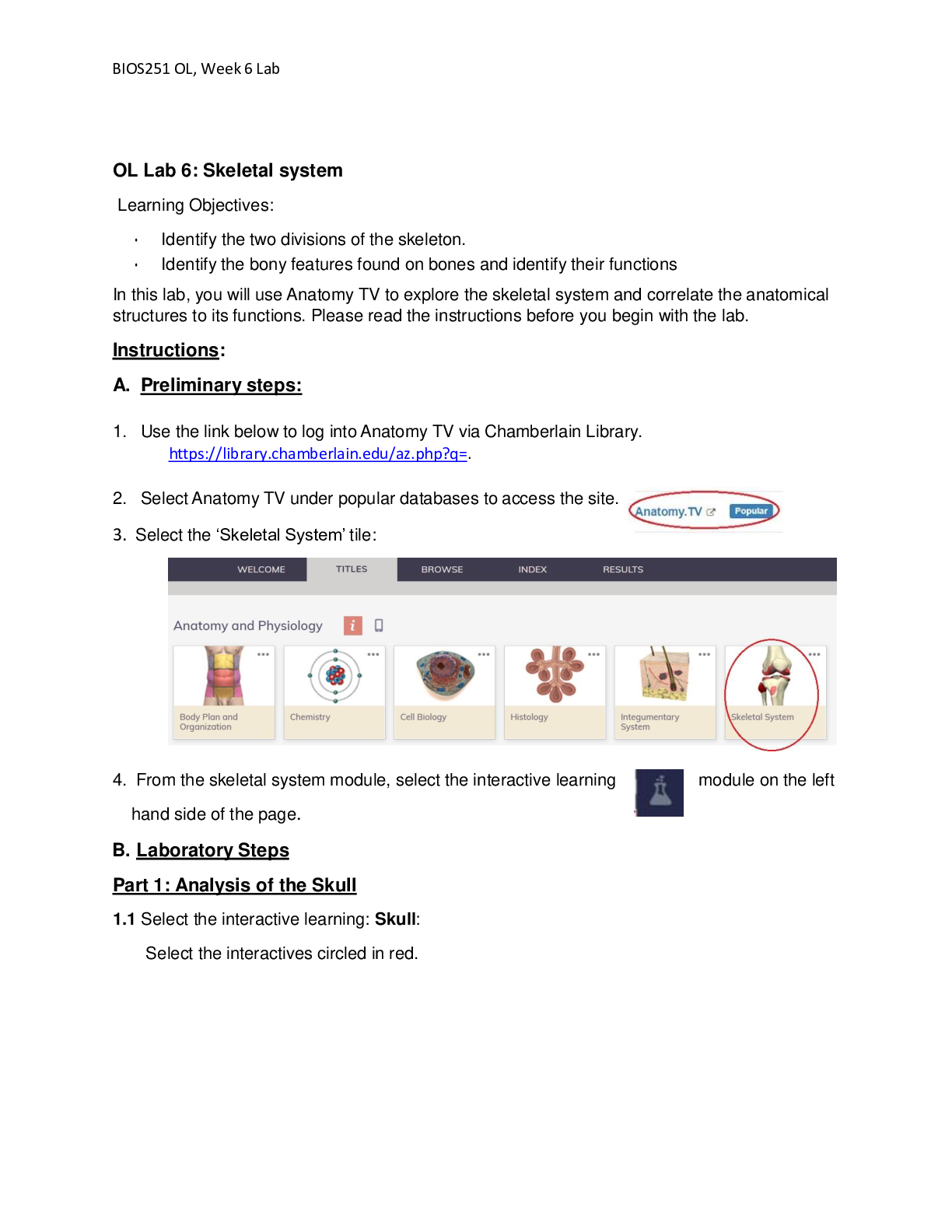Preview image for BIOS-251 Week 6 Lab Assignment: Skeletal System (100% CORRECT ANSWERS)