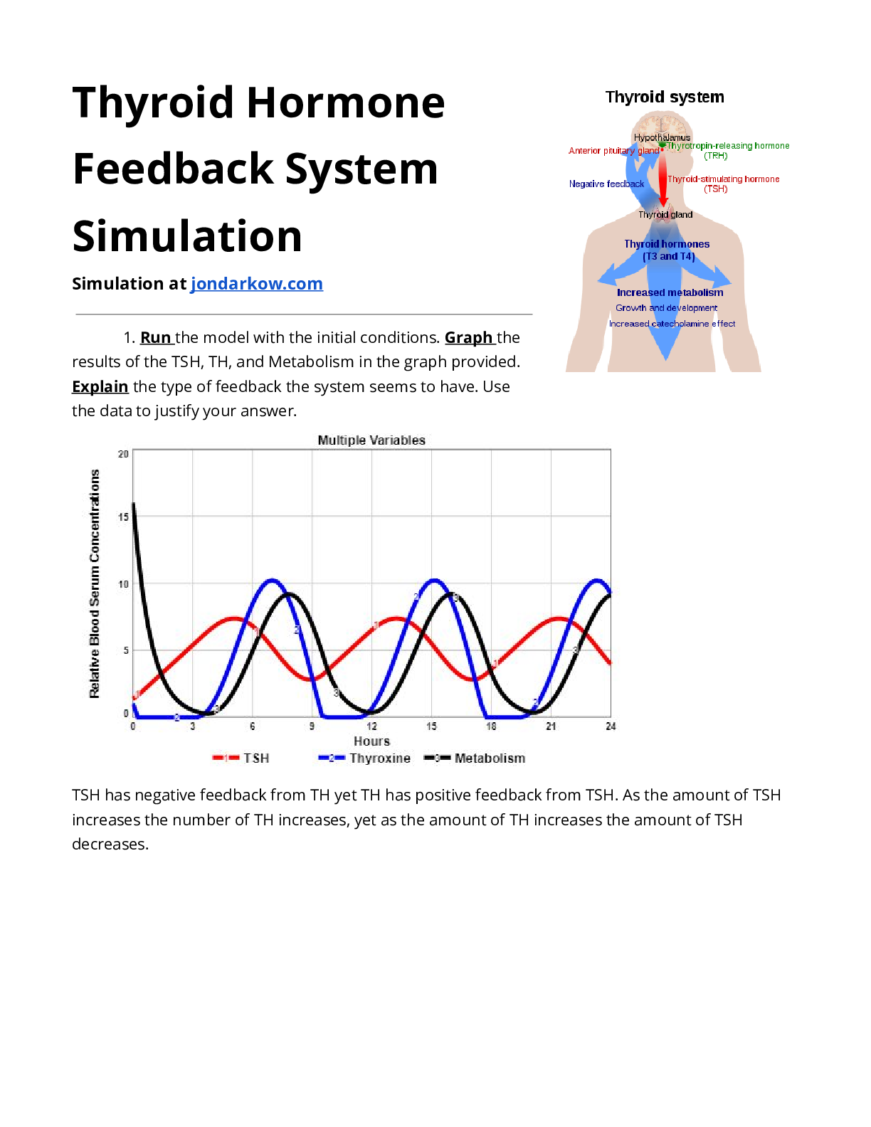 Preview of Zack Hodgen - Thyroid Hormone Feedback System Simulation Blue Ridge Community College MKT