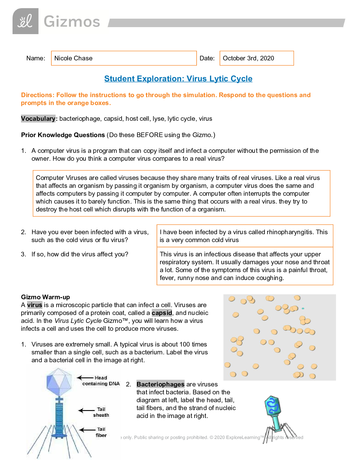 Preview of Virus Lytic Cycle Gizmos