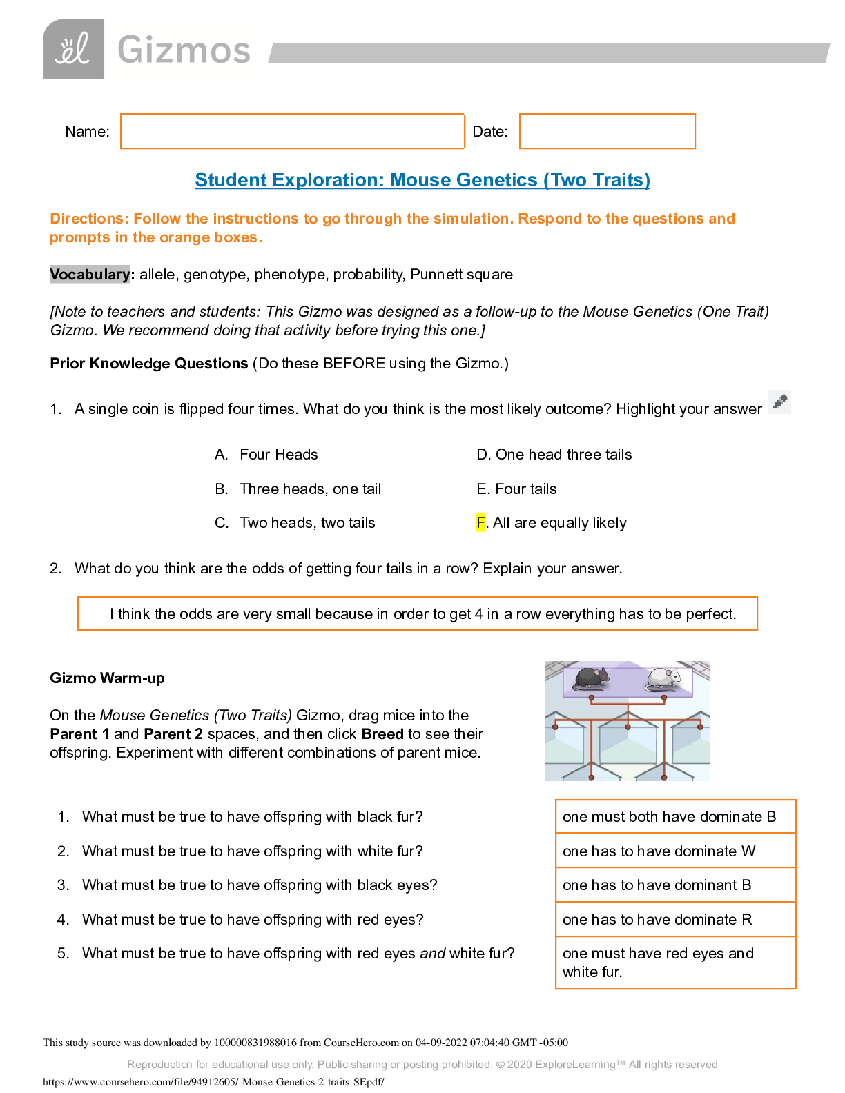 Preview image for Justin_Sharp_Mouse Genetics Di hybrid_2021 | Student Exploration: Mouse Genetics (Two Traits) _ Gizmos