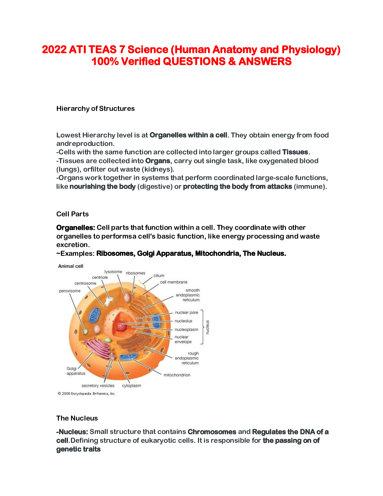 Preview image for ATI TEAS 6 - Science (Human Anatomy and Physiology) 2022/2023 Latest Updated And Comprehensive Exam Revision With Guaranteed Success RATED A+