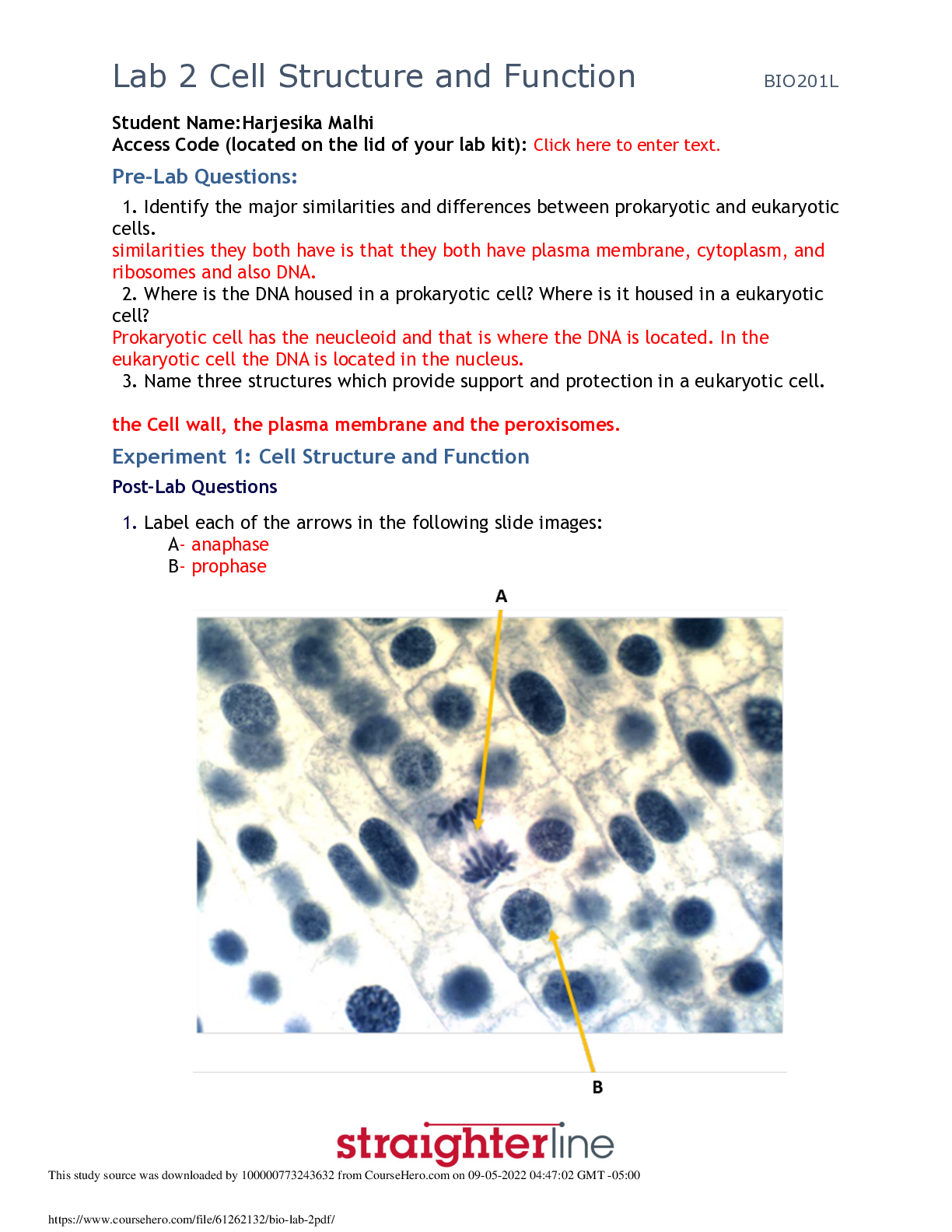 Preview image for Lab 2 Cell Structure and Function | Questions with Correct Answers, Latest Updates