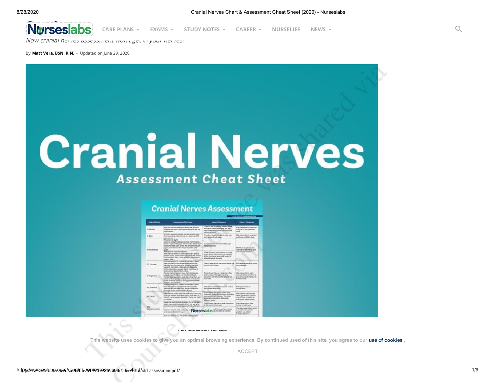 Preview image for NURSING MISC 2021 Cranial Nerves Assessment Chart and Cheat Sheet