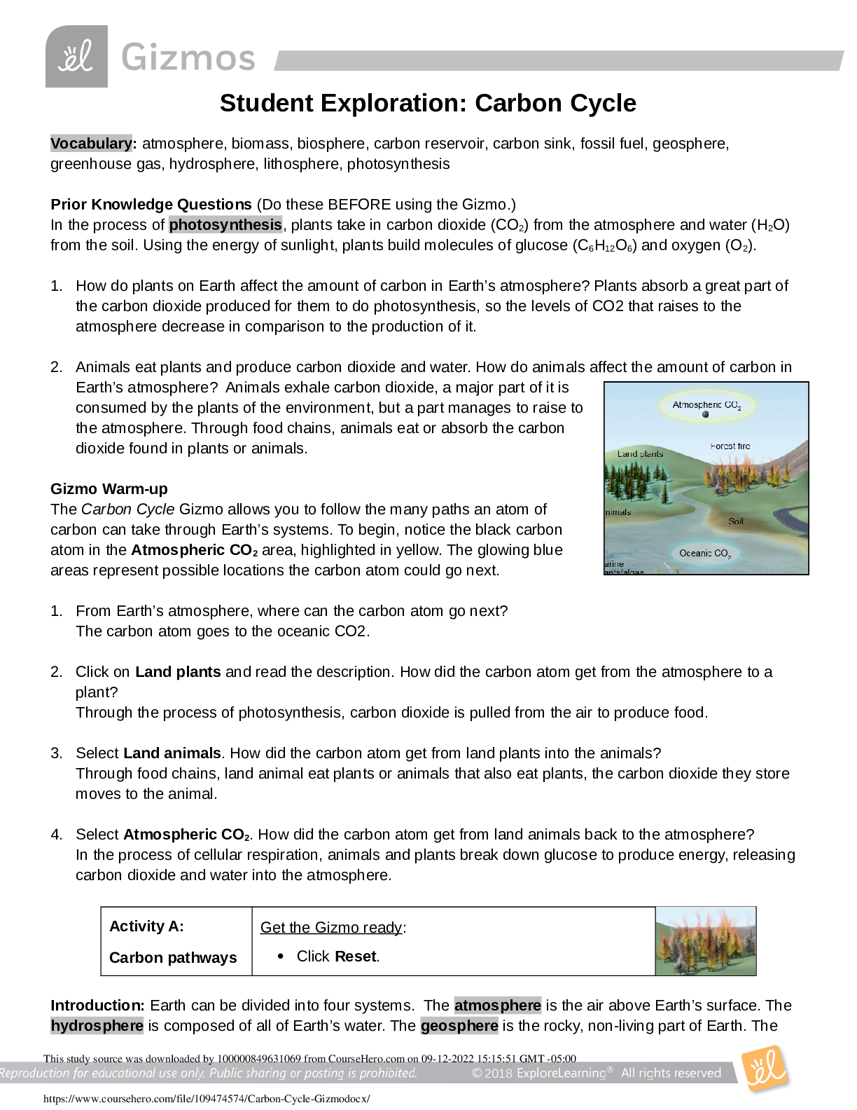 Preview of Gizmos: Student Exploration Carbon Cycle Answer Key
