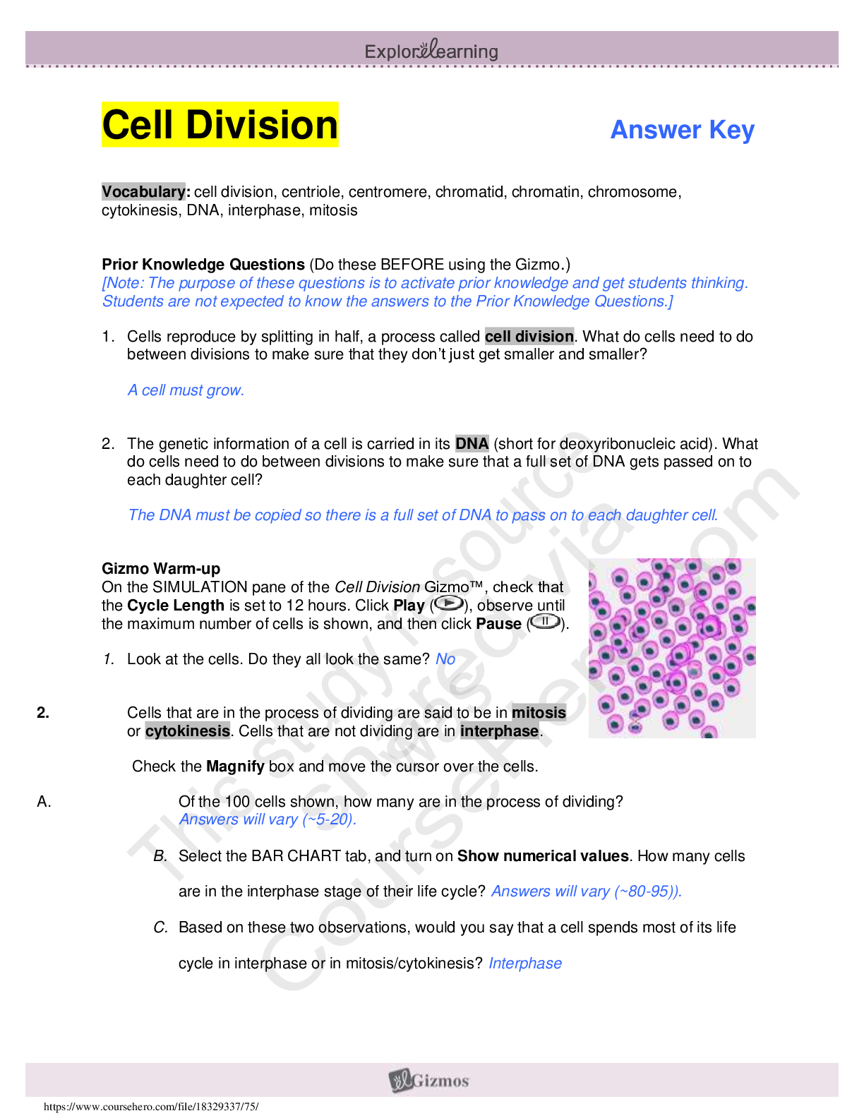 Preview image for Cell Division. GIZMO Explore Learning Cell Division Answer Key; Vocabulary: cell division, centriole, centromere, chromatid, chromatin, chromosome, cytokinesis, DNA, interphase, mitosi (LATEST complete test with correct answers)